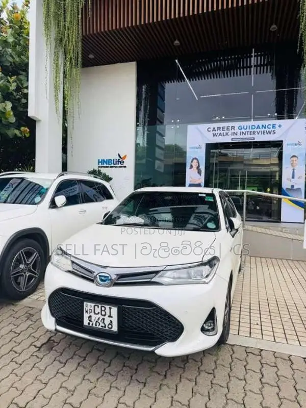Toyota Axio WXB 2018 Car (Used)