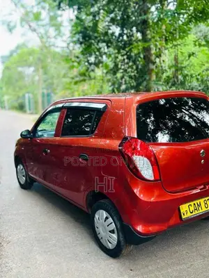 Suzuki Alto 2015 Car (Used)