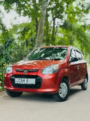 Suzuki Alto 2015 Car (Used)