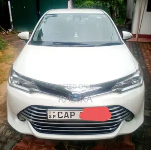Toyota Axio 2015 Car (Used)