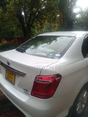 Toyota Axio 2015 Car (Used)