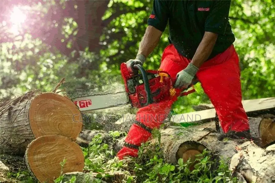 Newtop Chain Saw 58CC/ 22" Guide Bar