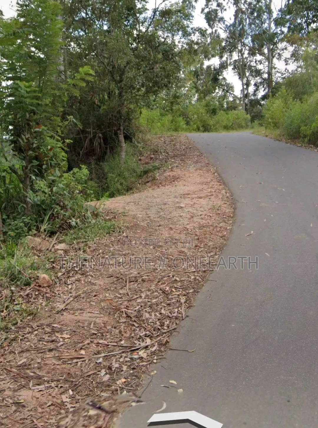 Land With a House for Sale