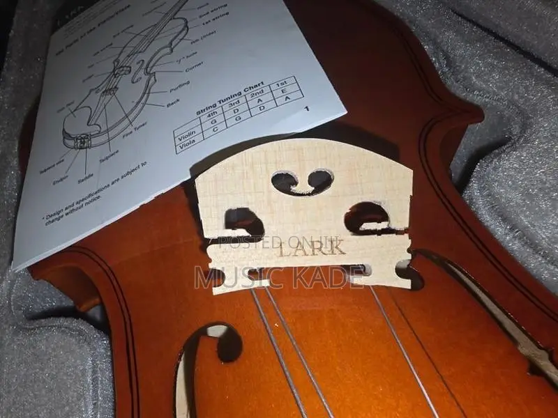 Violin Lark