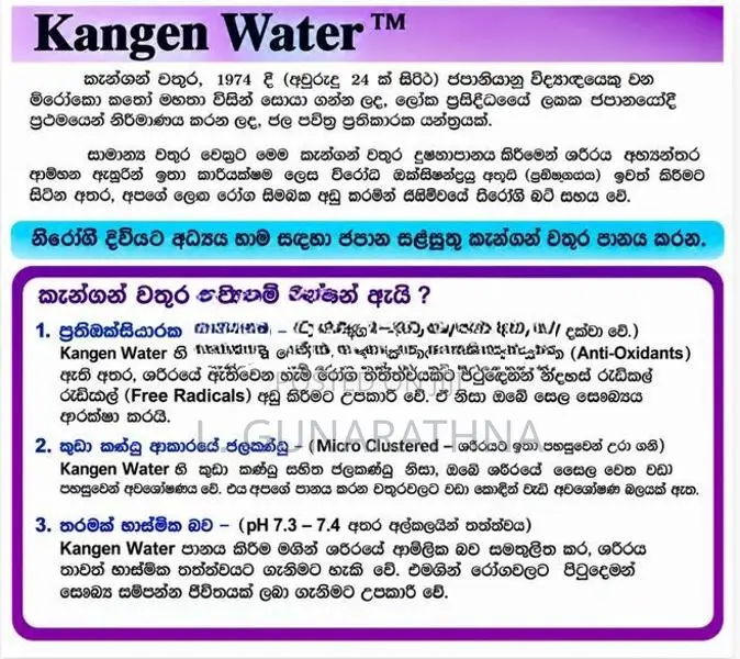Leveluk JR4 Kangen Water Machine