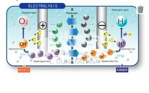 Kangen Water Machine - Leveluk SD501.