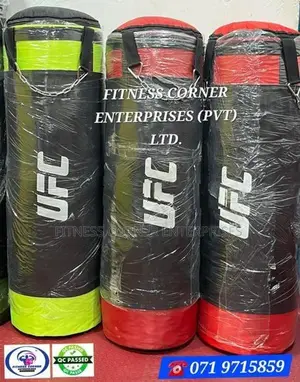Punching Bag HJ New