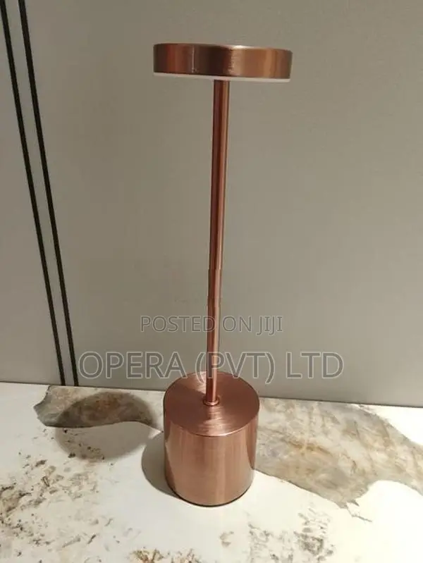 LED Desk Lamp