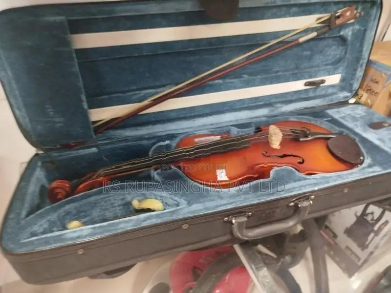 Violin
