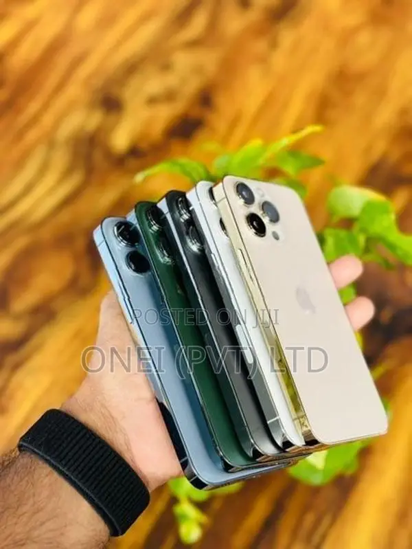 Apple iPhone 13 Pro Max 256GB (Used)