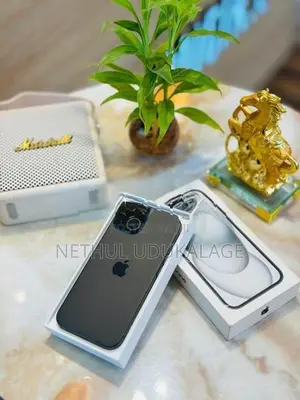 Apple iPhone 15 (Used)