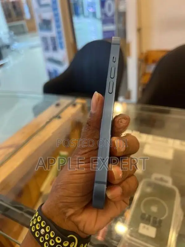 Apple iPhone 13 (Used)