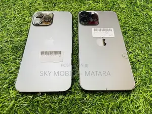Apple iPhone 13 Pro Max 256GB (Used)