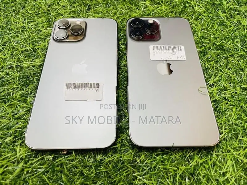 Apple iPhone 13 Pro Max 256GB (Used)