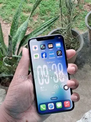 Apple iPhone X (Used)