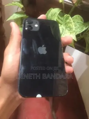 Apple iPhone 12 (Used)