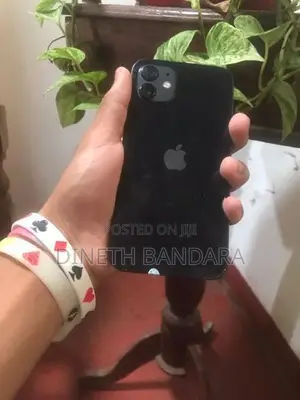 Apple iPhone 12 (Used)