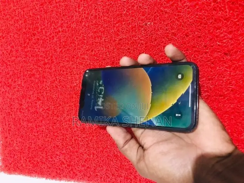 Apple iPhone X (Used)