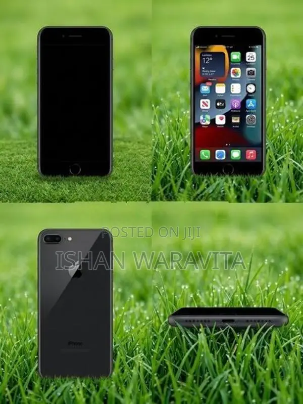 Apple iPhone 7 Plus (Used)