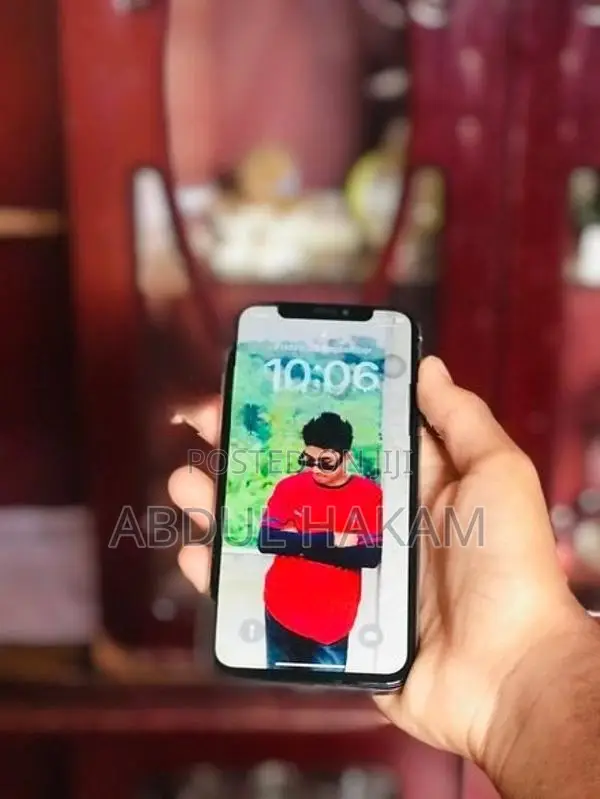 Apple iPhone X (Used)