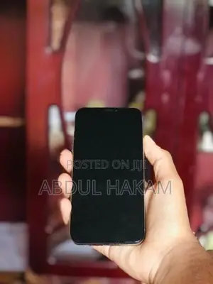Apple iPhone X (Used)
