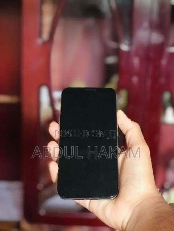 Apple iPhone X (Used)