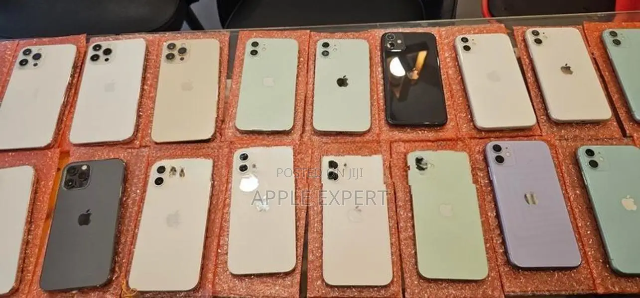 Apple iPhone 11 (Used)