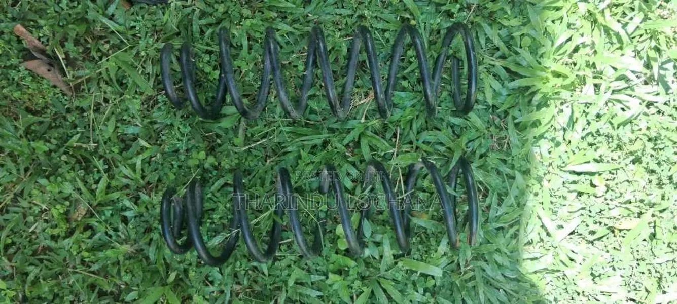 Rear shock spring coil for Car