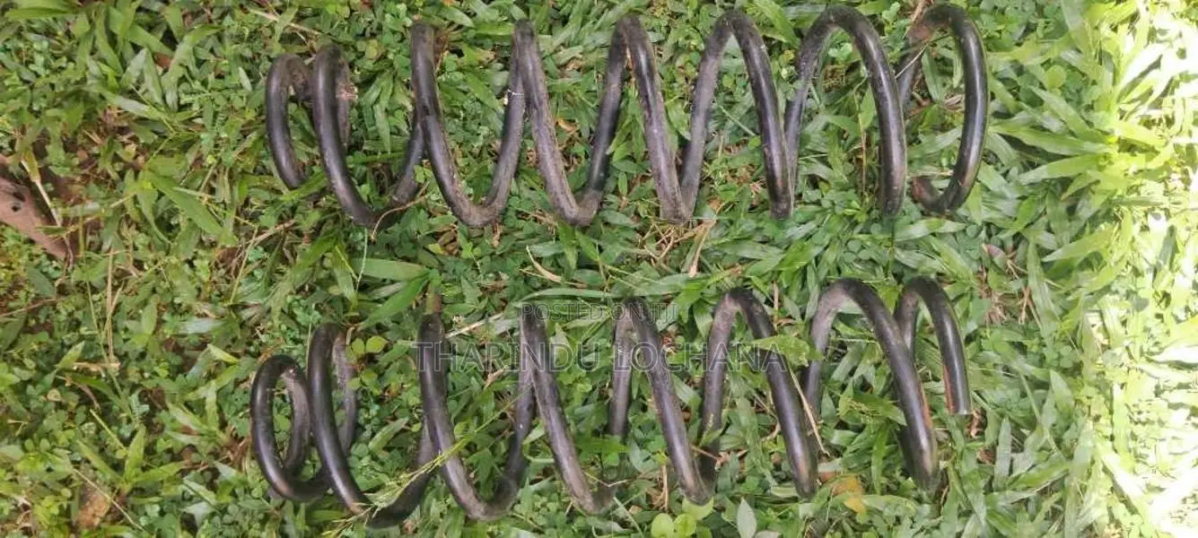 Rear shock spring coil for Car