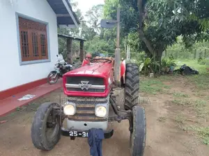 Massey-Ferguson MF 135 1980 Tractor (Used)