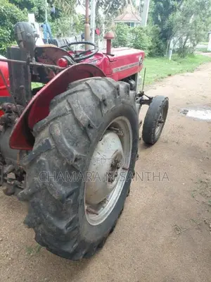 Massey-Ferguson MF 135 1980 Tractor (Used)