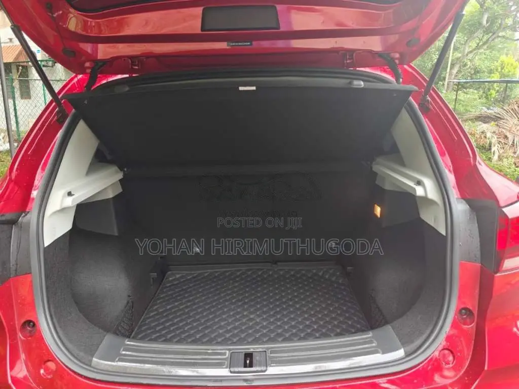 MG ZS 2025 SUV (Used)