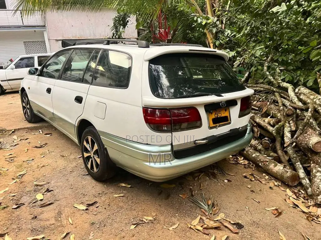 Toyota Caldina 1996 Car (Used)