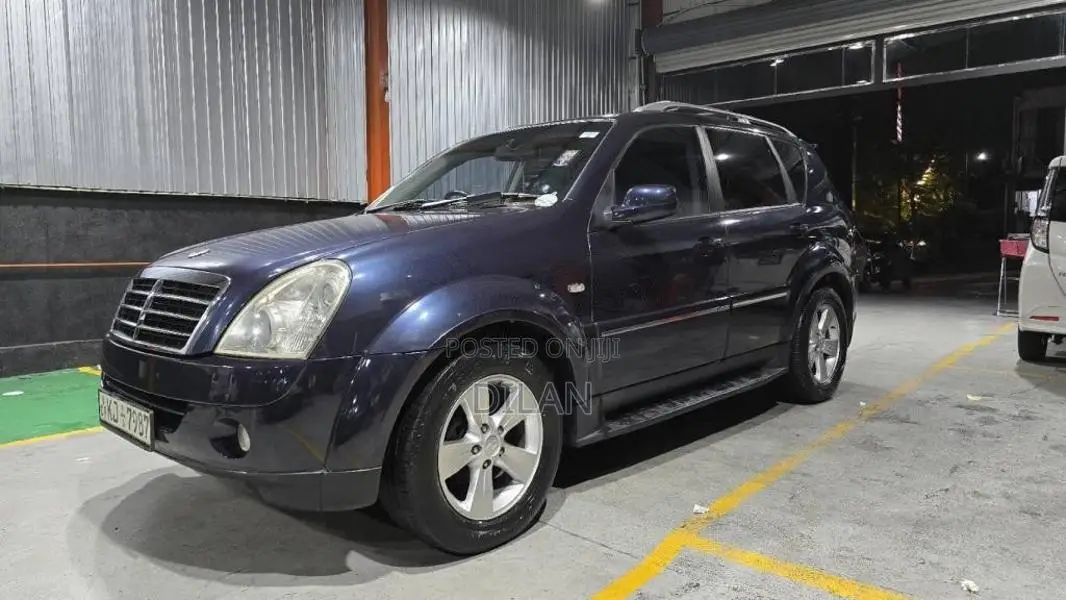 Micro Rexton 2008 SUV (Used)