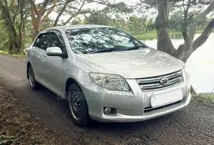 Toyota Axio 2008 Car (Used)