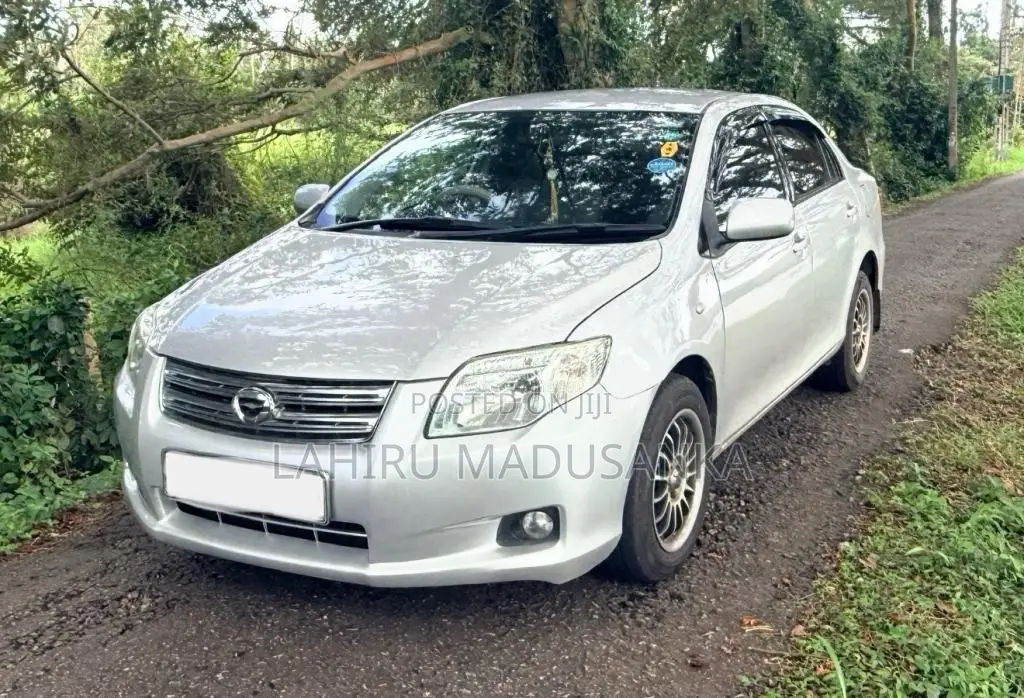 Toyota Axio 2008 Car (Used)