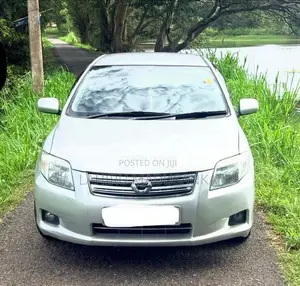 Toyota Axio 2008 Car (Used)