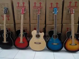 Semi Acoustic Guitar