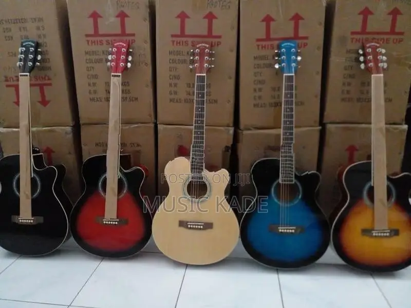 Semi Acoustic Guitar