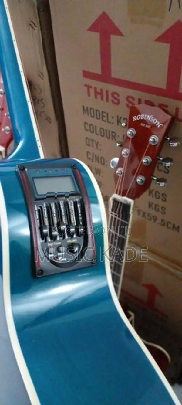 Semi Acoustic Guitar