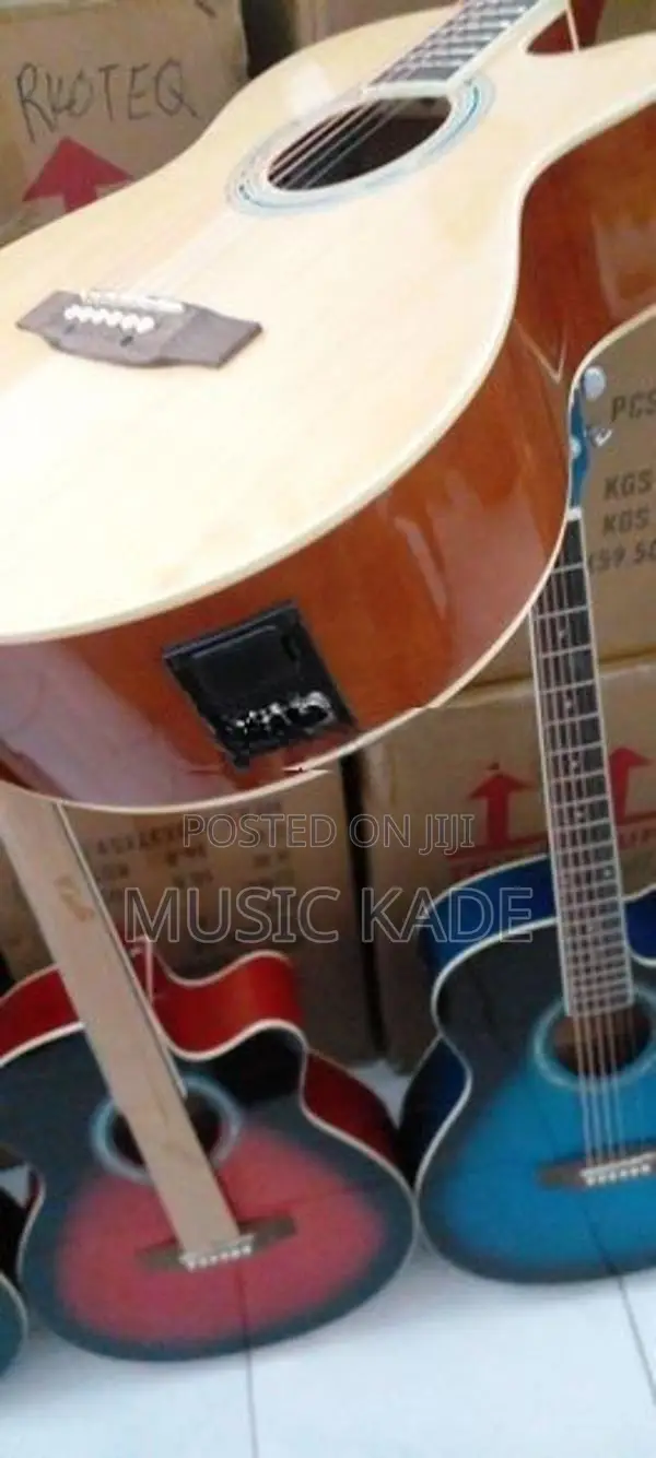 Semi Acoustic Guitar