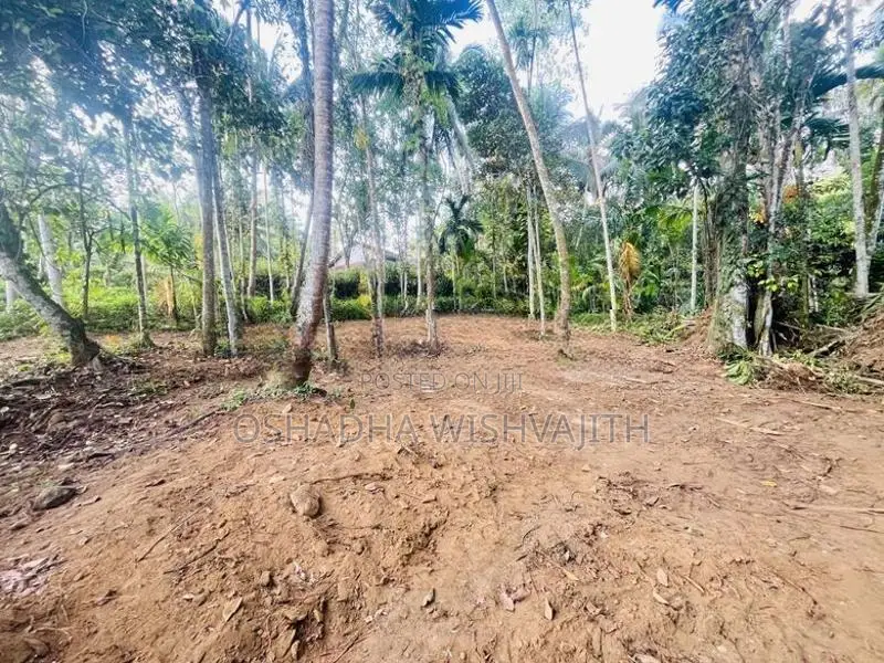 Land for Sale in Ingiriya