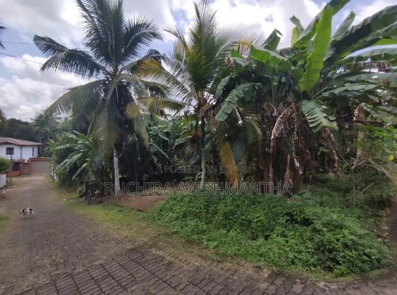 Land For Sale In Athurugiriya 10 Perches Lakhs Per Perch