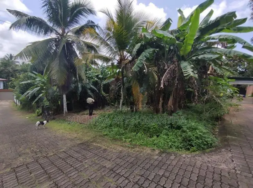 Land For Sale In Athurugiriya 10 Perches Lakhs Per Perch
