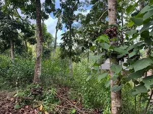 Land for Sale in Homagama