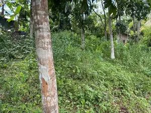 Land for Sale in Homagama