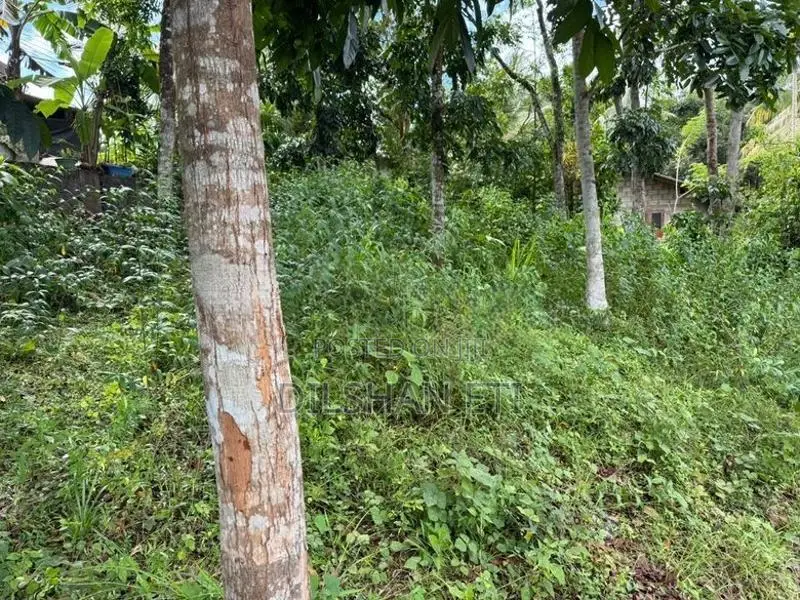 Land for Sale in Homagama