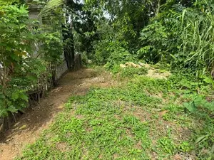 Land for Sale in Homagama