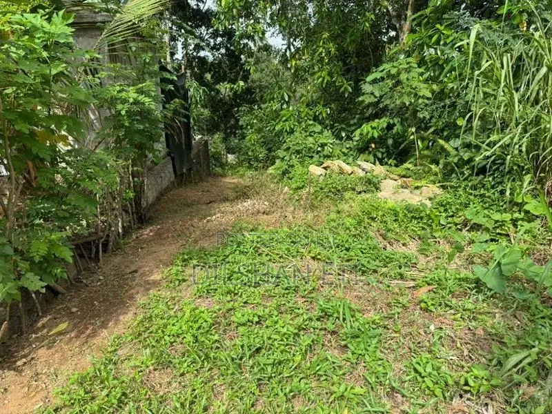 Land for Sale in Homagama
