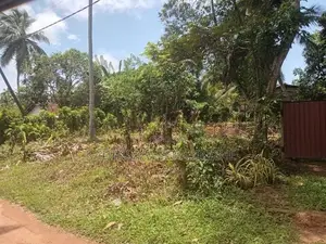 ඉඩම් දෙකක් විකිණීමට ඇත Moronthuduwa In Wadduwa